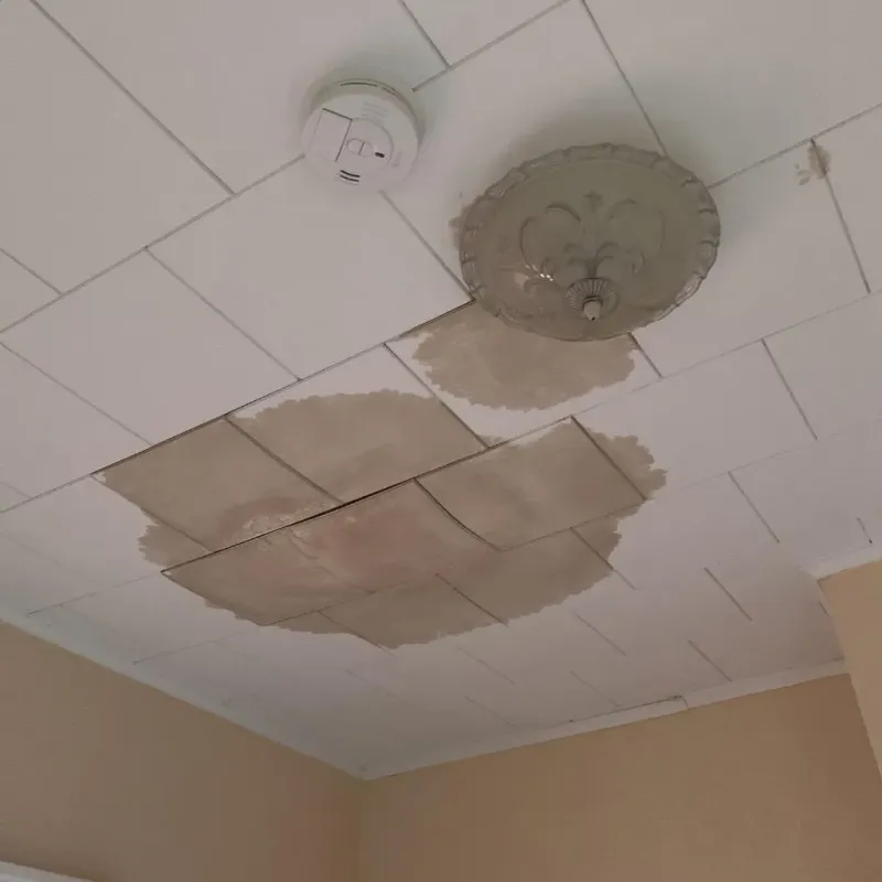 Ceiling Water Damage Repair in Ansonia, OH