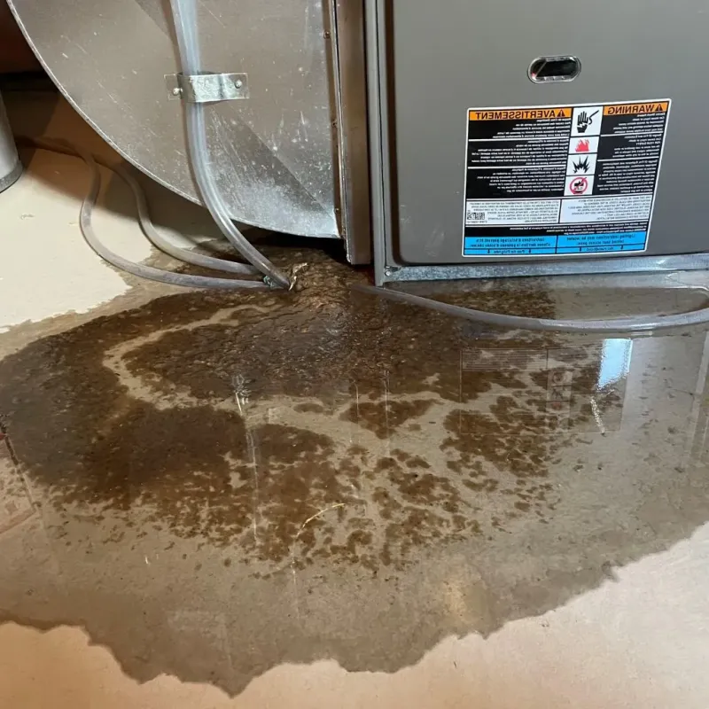 Pipe Burst and Leak Restoration in Ansonia, OH