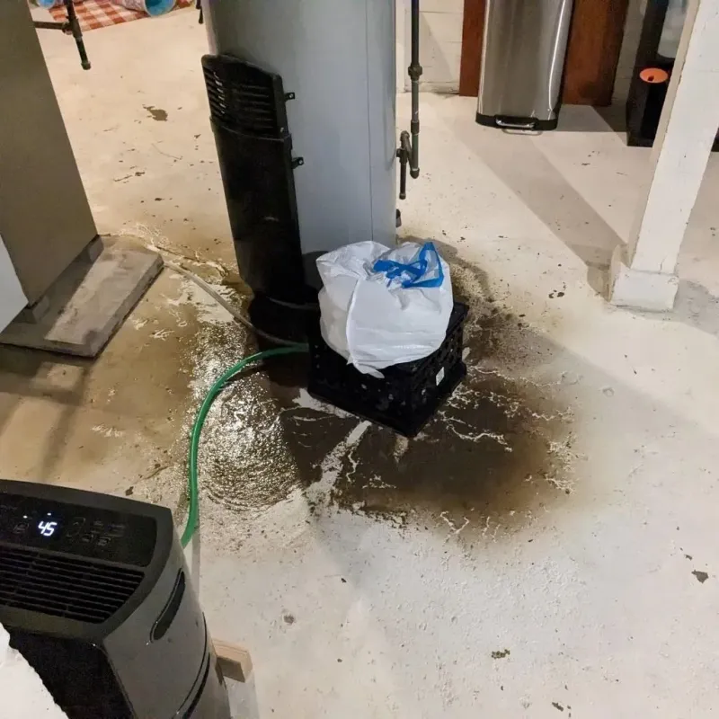 Sewage Backup Cleanup Service in Ansonia, OH